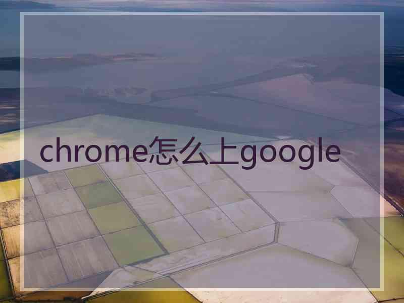 chrome怎么上google