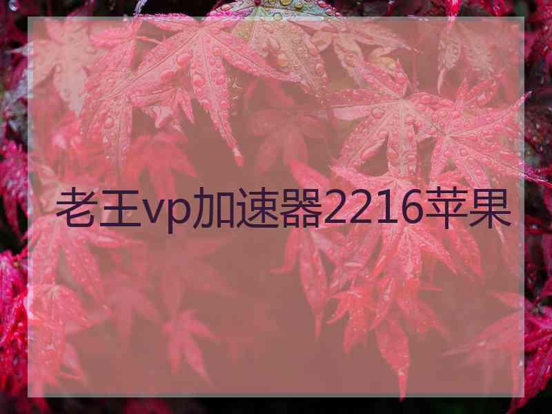 老王vp加速器2216苹果