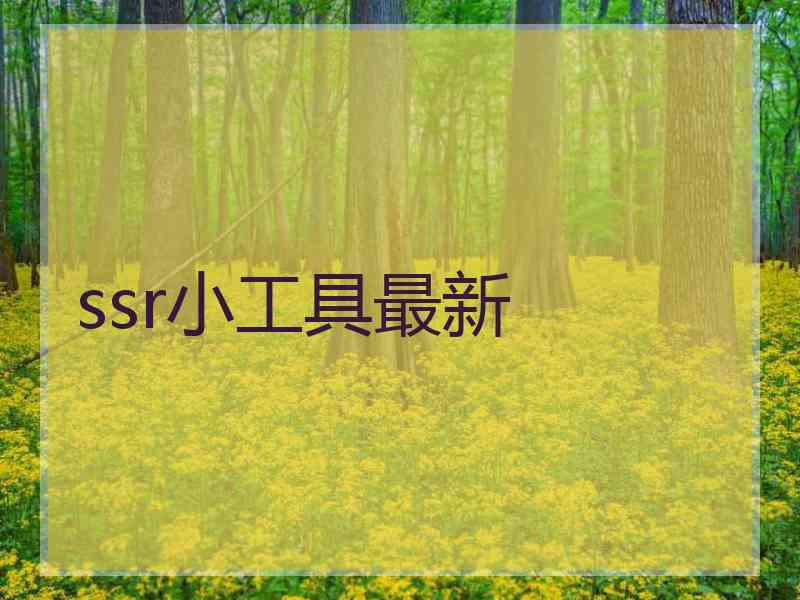 ssr小工具最新