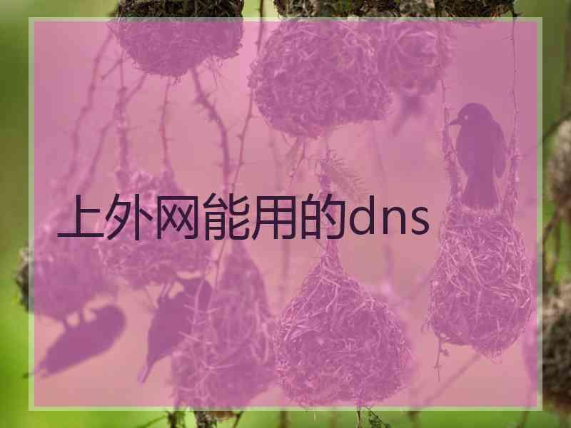 上外网能用的dns