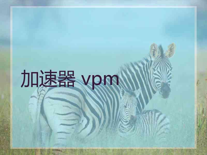 加速器 vpm