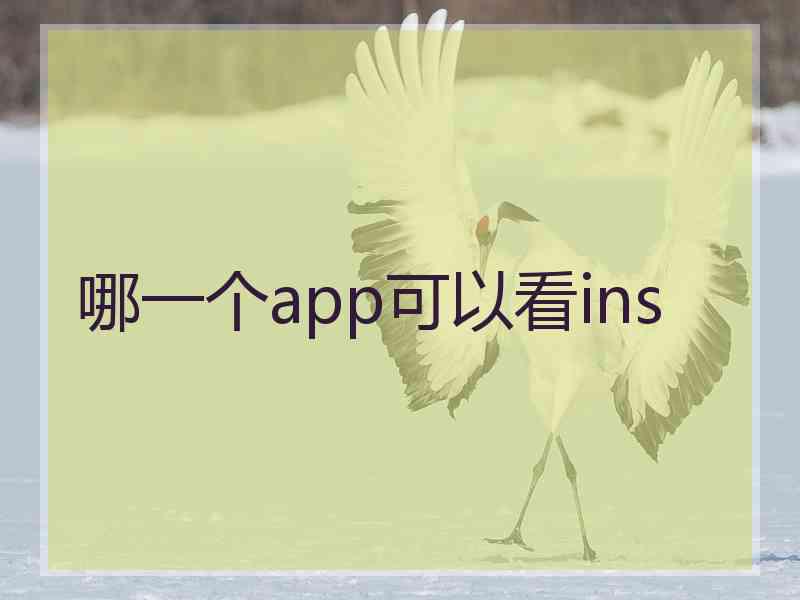 哪一个app可以看ins