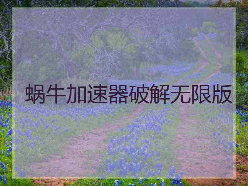 蜗牛加速器破解无限版