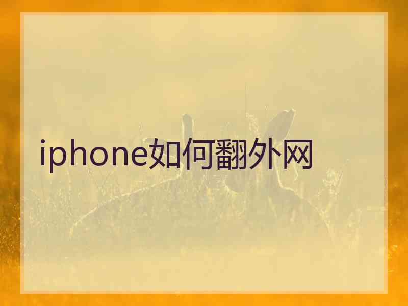 iphone如何翻外网