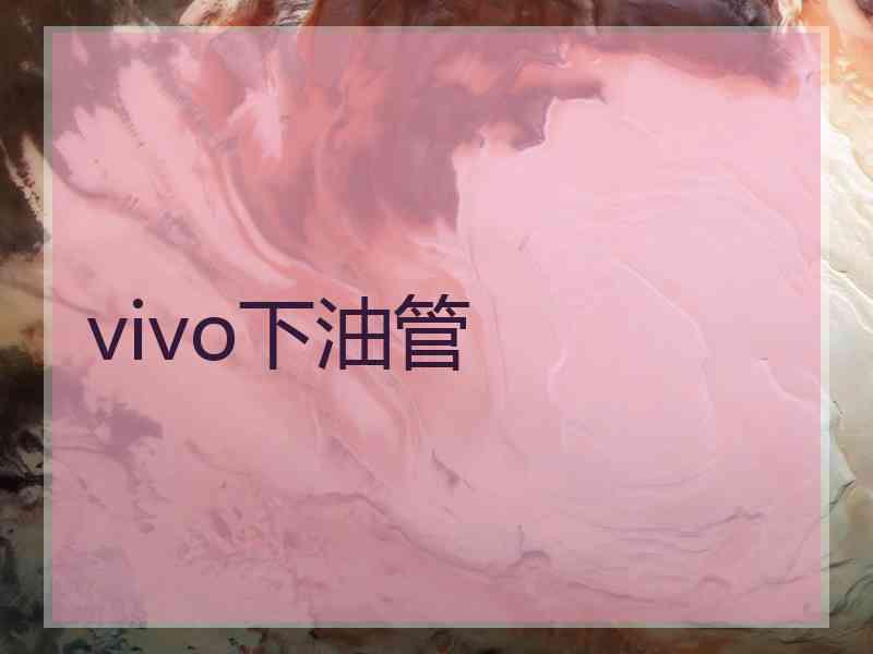 vivo下油管