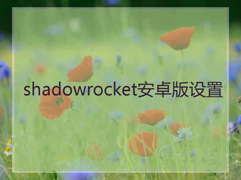 shadowrocket安卓版设置