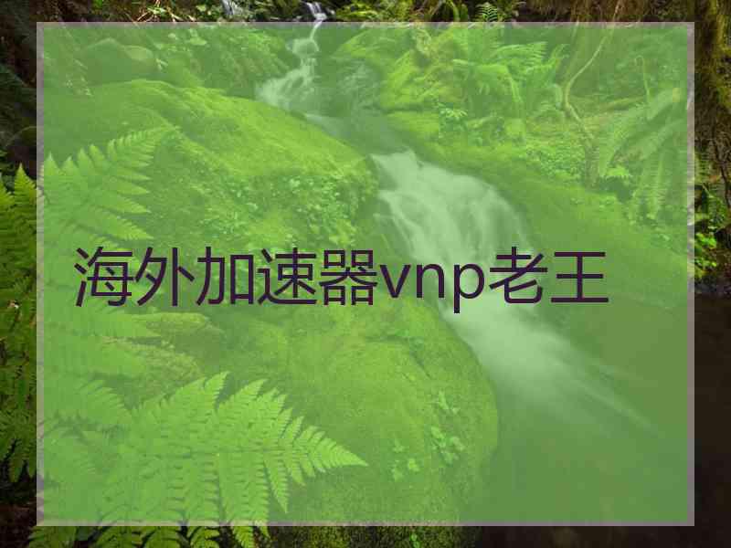 海外加速器vnp老王