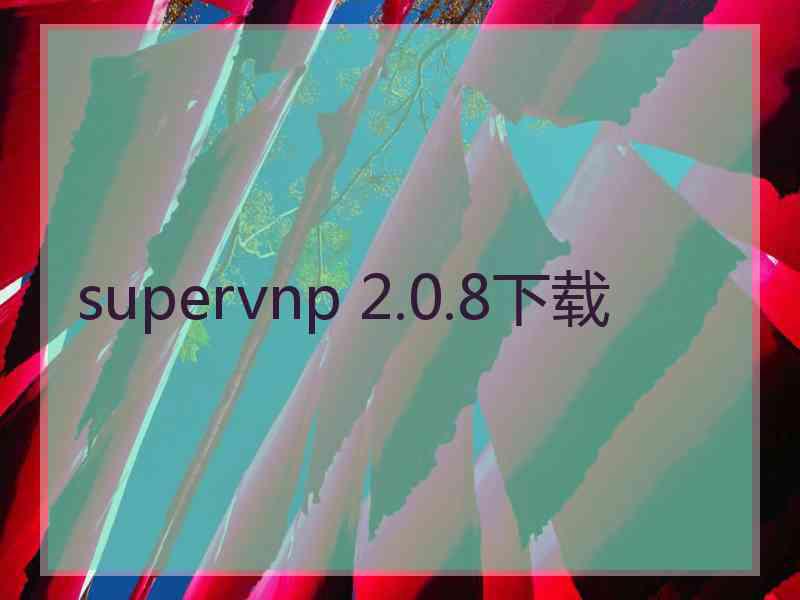 supervnp 2.0.8下载