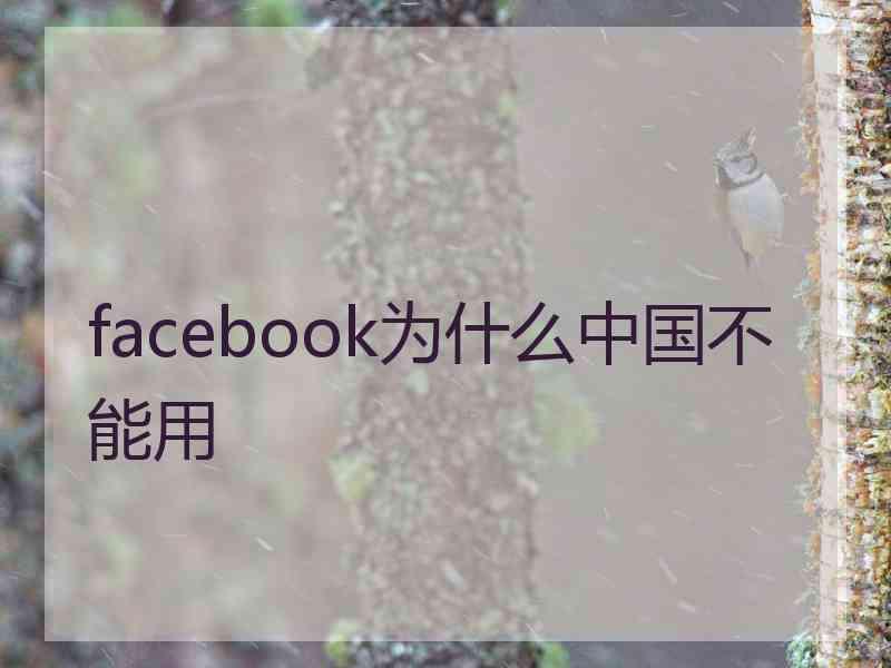 facebook为什么中国不能用