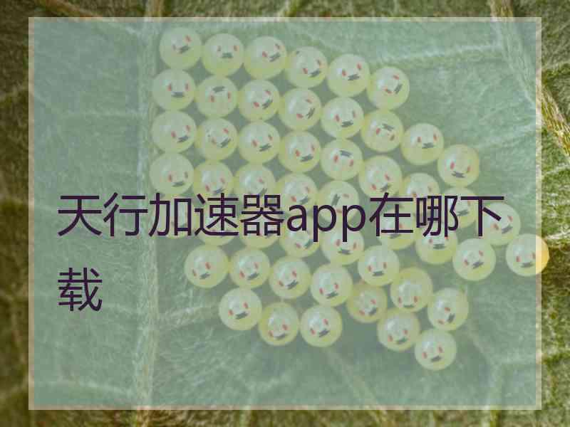 天行加速器app在哪下载