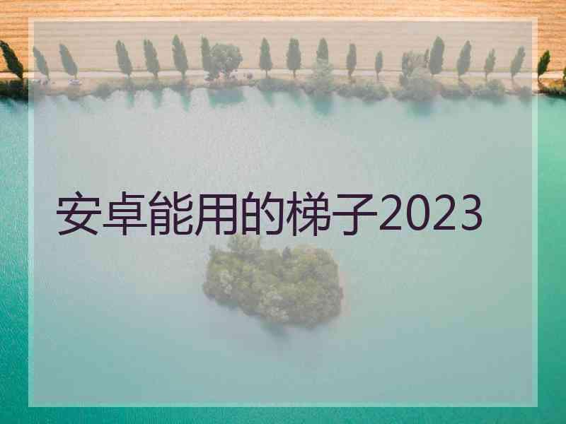 安卓能用的梯子2023