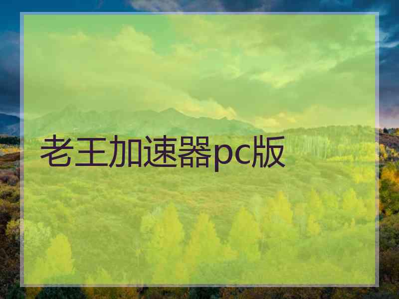 老王加速器pc版