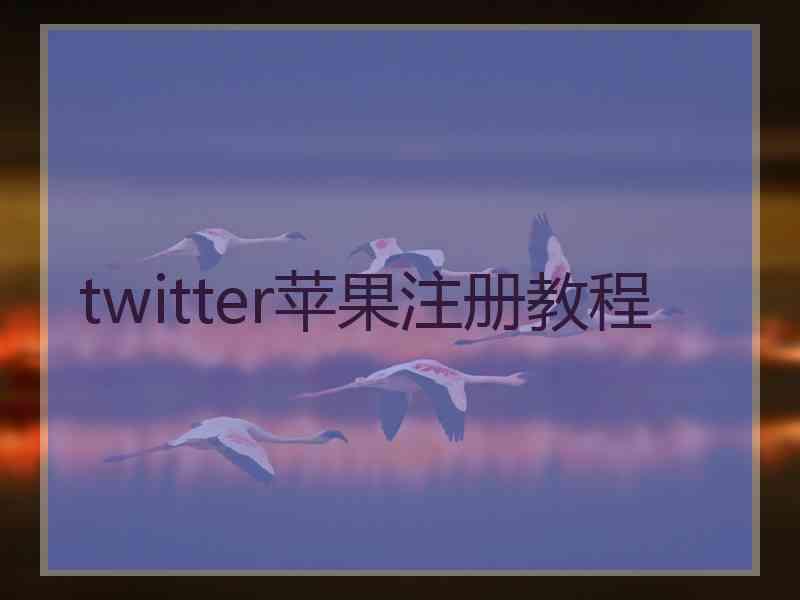 twitter苹果注册教程