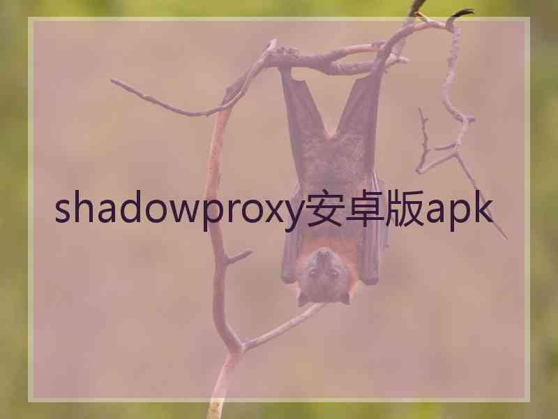 shadowproxy安卓版apk