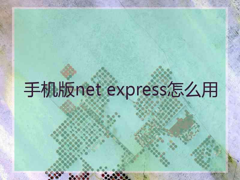 手机版net express怎么用