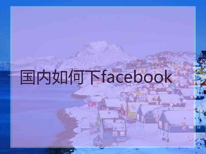 国内如何下facebook