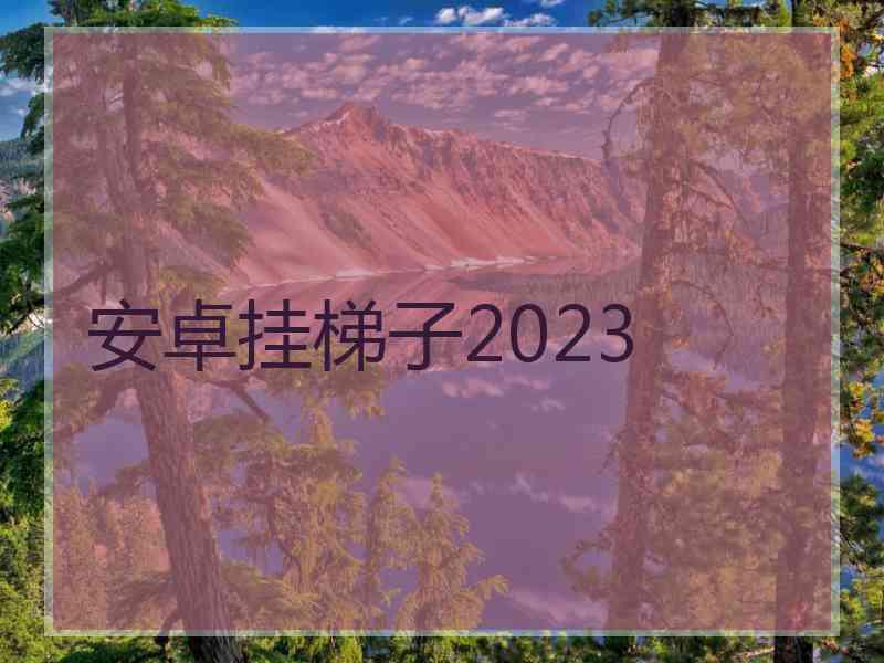 安卓挂梯子2023