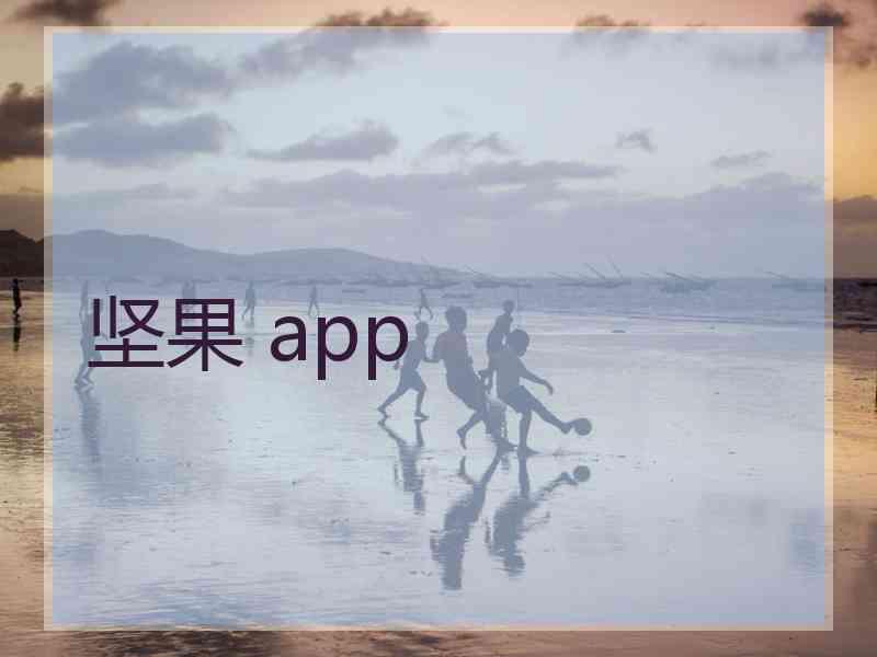 坚果 app