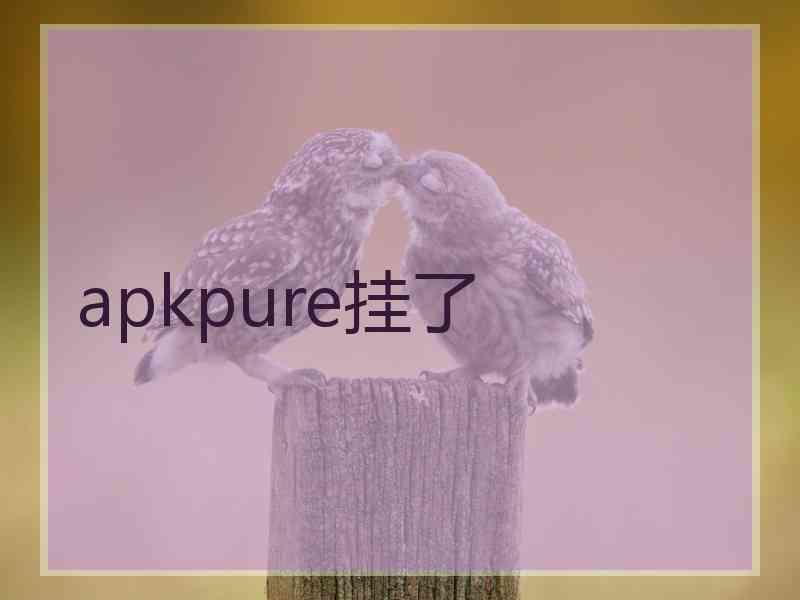 apkpure挂了