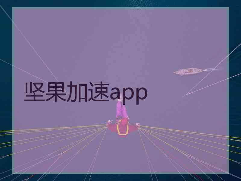 坚果加速app