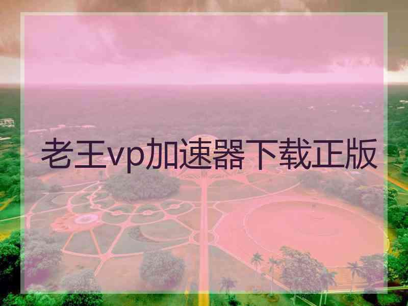 老王vp加速器下载正版