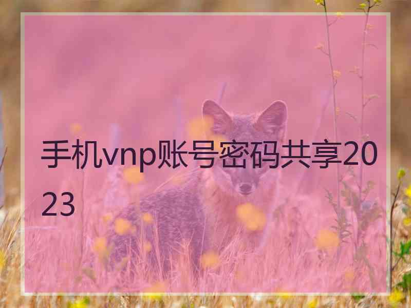 手机vnp账号密码共享2023