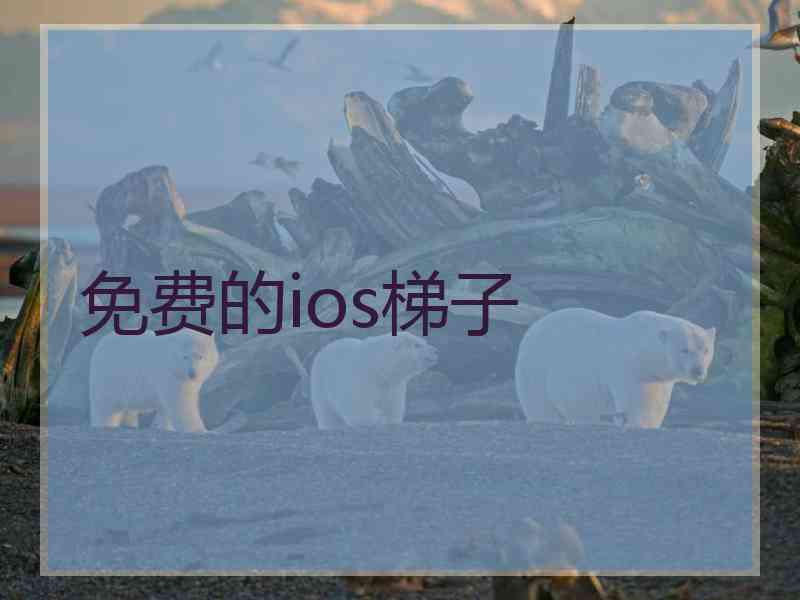 免费的ios梯子