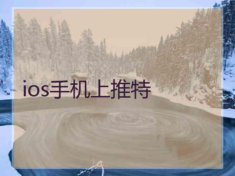 ios手机上推特