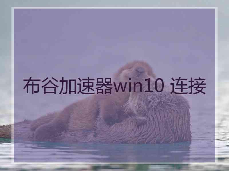 布谷加速器win10 连接