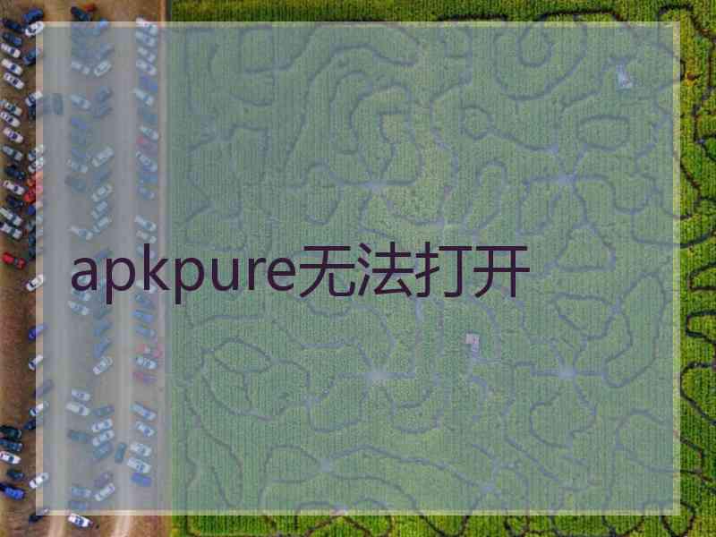 apkpure无法打开