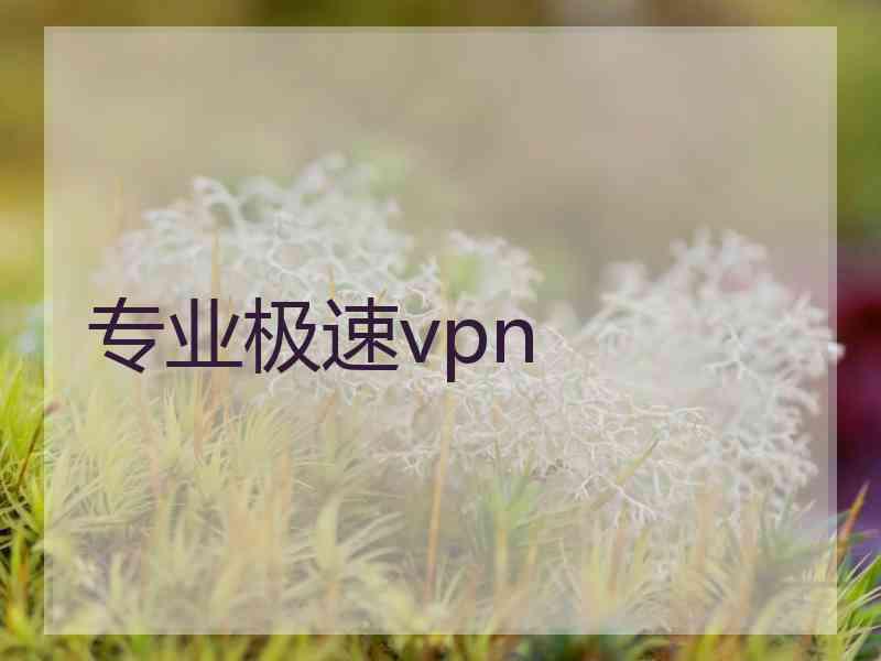 专业极速vpn