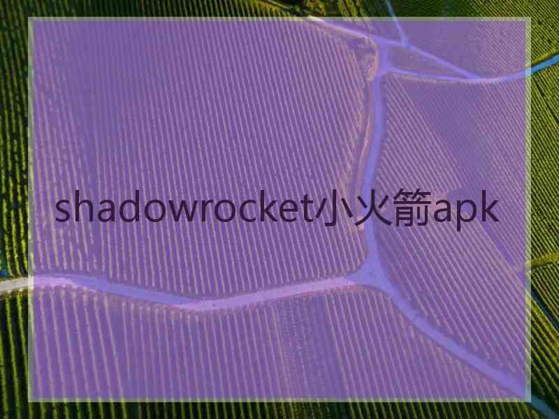 shadowrocket小火箭apk