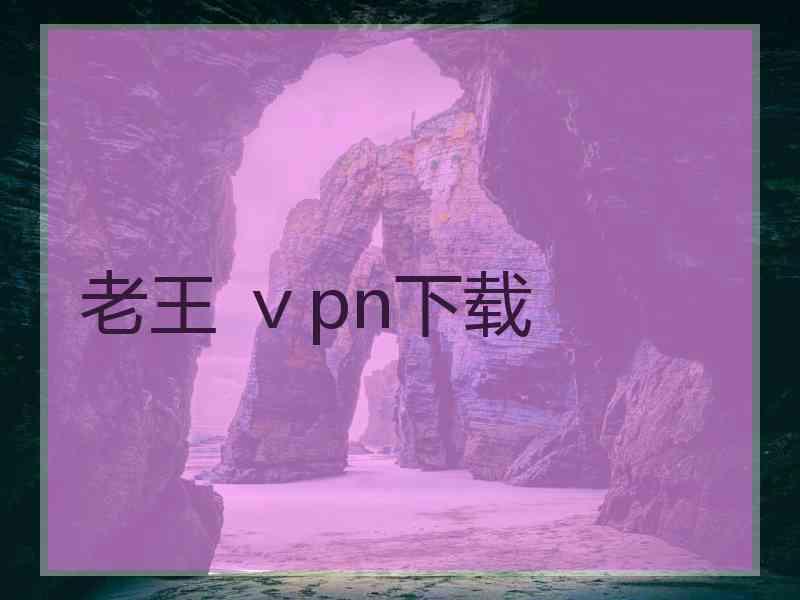 老王 ⅴpn下载