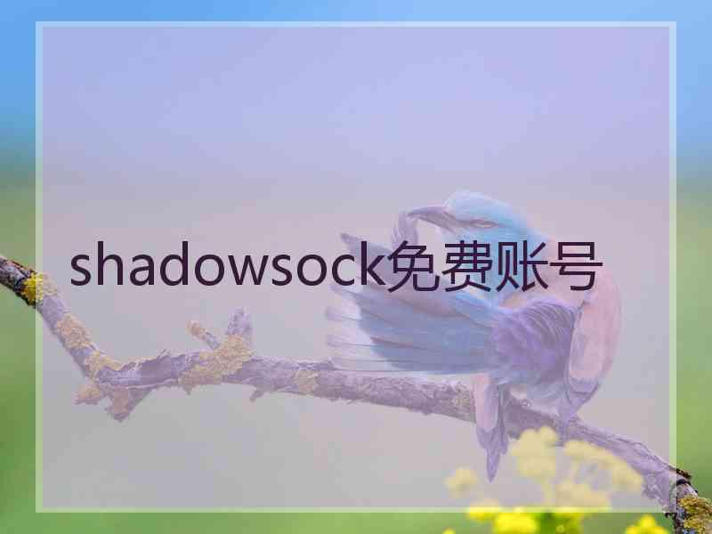 shadowsock免费账号