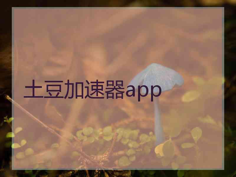 土豆加速器app