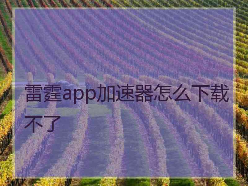 雷霆app加速器怎么下载不了