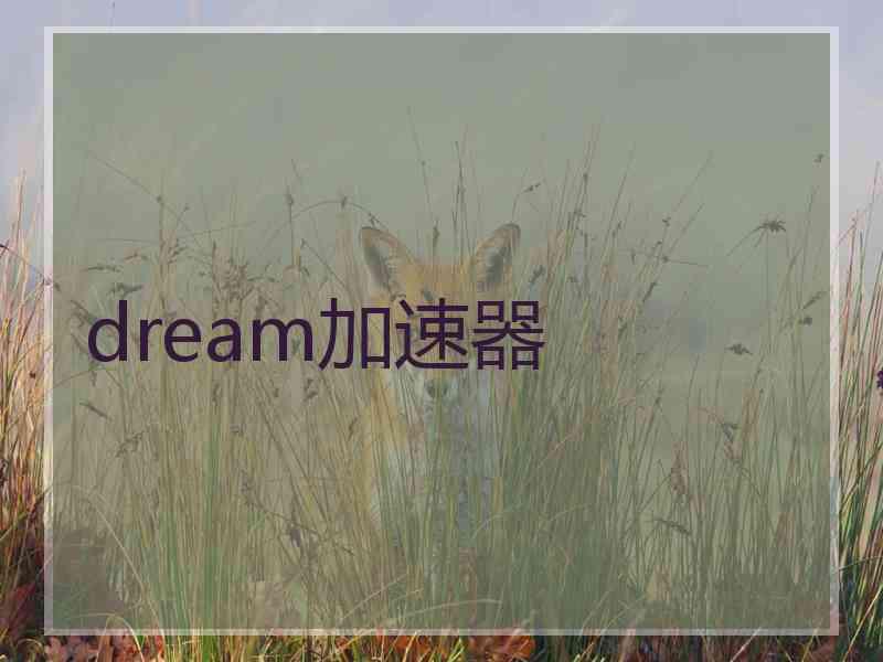 dream加速器