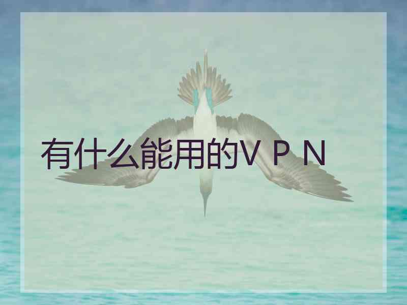 有什么能用的V P N