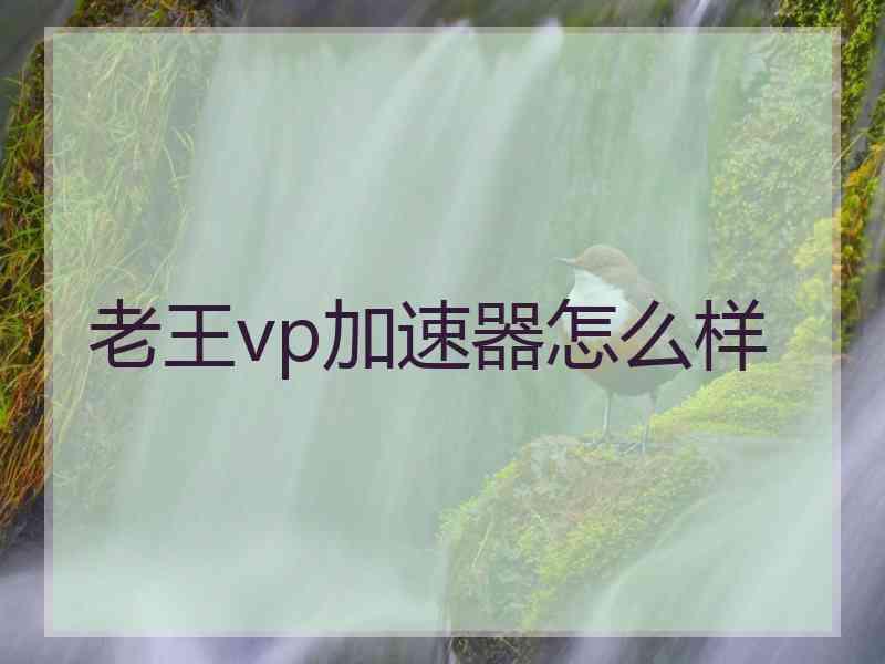 老王vp加速器怎么样