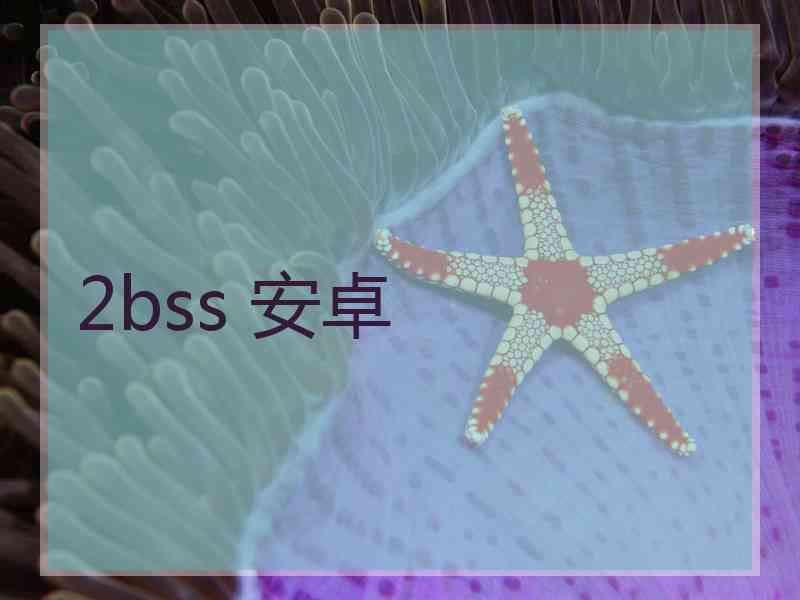 2bss 安卓