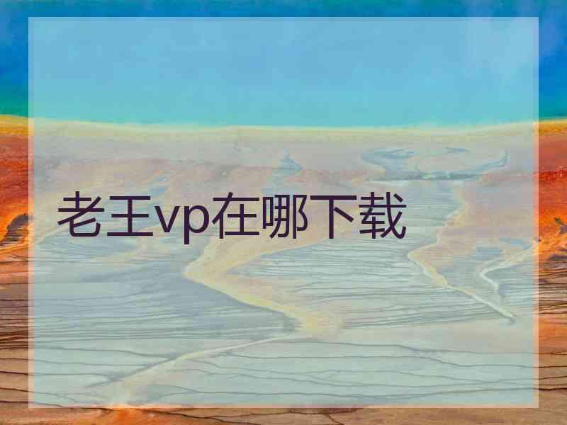 老王vp在哪下载