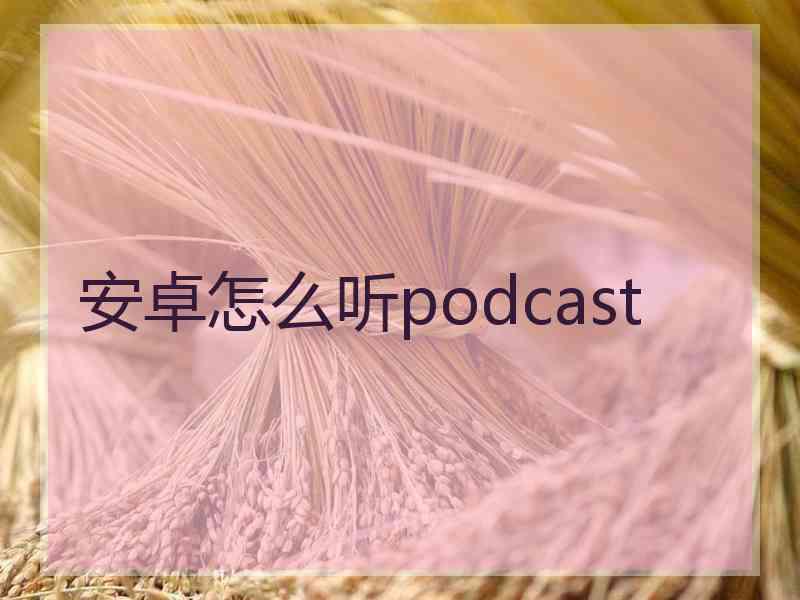 安卓怎么听podcast