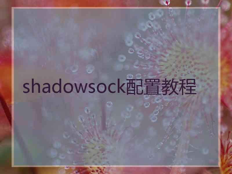 shadowsock配置教程