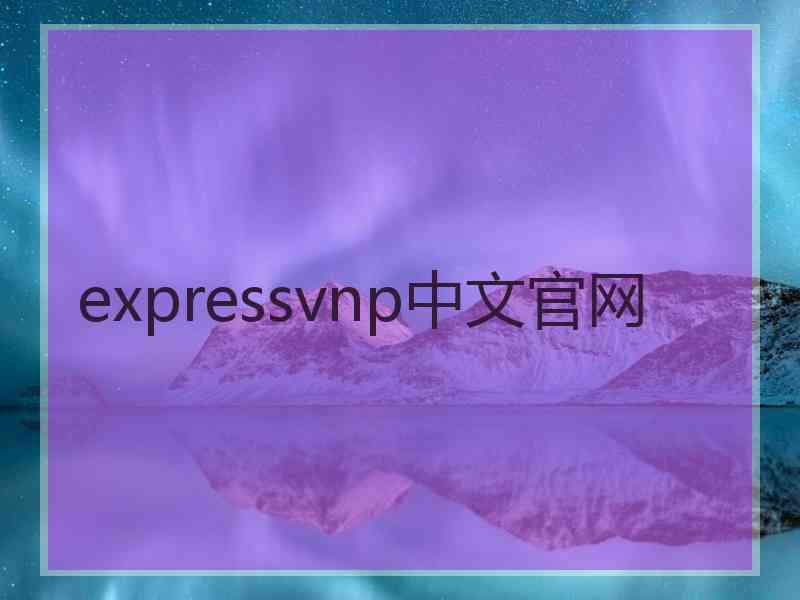 expressvnp中文官网