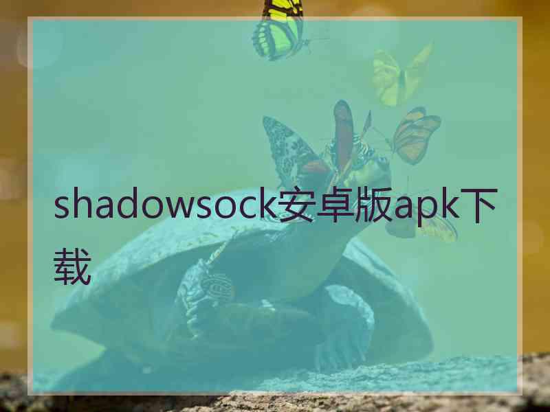 shadowsock安卓版apk下载